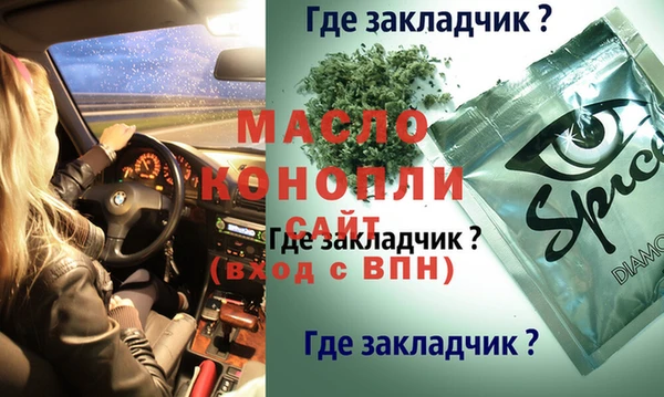 стаф Горняк